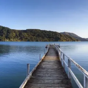 Picturesque wharf in the idyllic Kenepuru Sound, Marlborough Sounds, South Island Picturesque wharf in the idyllic Kenepuru Sound, Marlborough Sounds, South Island