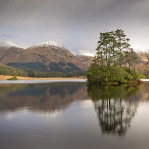 Pine tree island in a Scottish Loch, Highland, Scotland