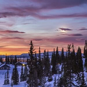 Pink sky at sunrise Rorvik BA'A¸rgefjell National Park TrA'A¸ndelag Norway Europe