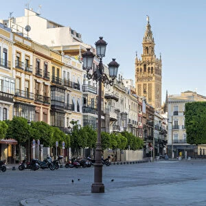Plaza de San Francisco with Giralda bell tower in the background, Seville, Andalusia