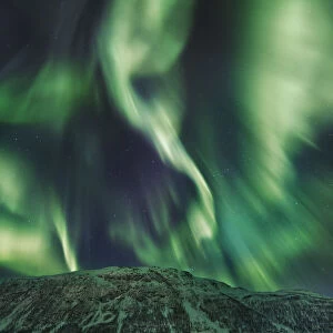 Polar light (Aurora Borealis) at Kafjord - Norway, Troms, Kafjord, Loekvoll