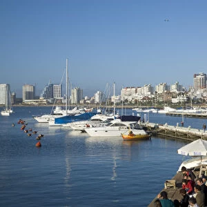 Port and sailing boats, Punta del Este, Uruguay