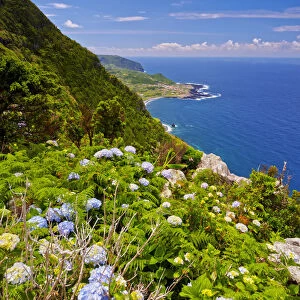 Portugal, Azores, Flores, View towards Faja Grande