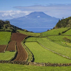 Portugal, Azores, Sao Jorge Island, Rosais of fields and the Pico Volcano