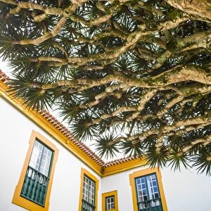 Portugal, Azores, Terceira Island, Angra do Heroismo, Palacio Capitaes Generais palace