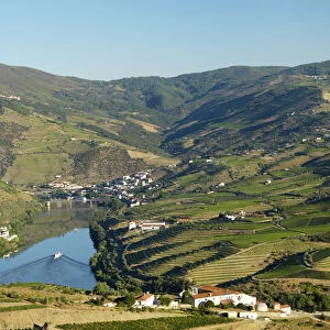 Portugal, Douro, Peso da ReguaTerraced vineyards
