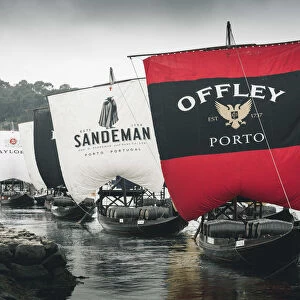 Portugal, Norte region, Porto (Oporto). Sailing boats showing porto wine brand names