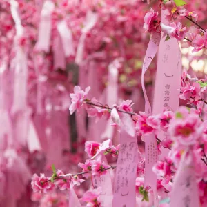 Prayer ribbons and blossom for Chinese New Year at Man Mo Temple, Sheung Wan, Hong