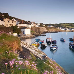 Pretty harbour and fishing boats at Coverack on the Lizard Peninsula, Cornwall, England