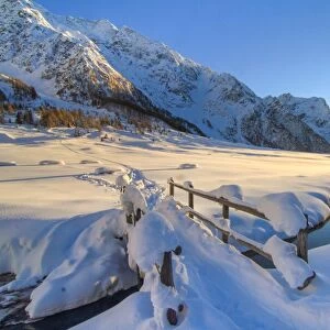 Pristine snow in winter in Rezzalo valley, Sondrio district, Valtellina, Lombardy, Italy