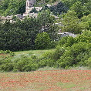 Provence, France. A french hill town in Provence with poppies in the foreground