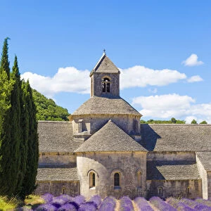 Provence, France. Lavender field at Senanque Abbaye