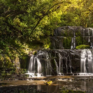 Purakaunui Falls in rainforest, The Catlins, Otago Region, South Island, New Zealand