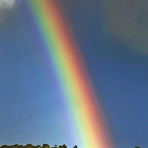 Rainbow - New Zealand, South Island, Southland, Slope Point