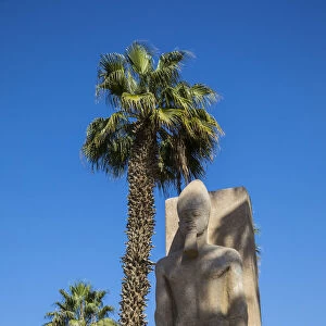 Ramses II statue, Memphis (capital of Ancient Egypt), Nr. Cairo, Egypt