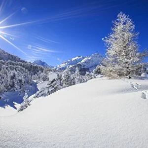 Rays of winter sun illuminate the snowy landscape around Maloja Canton of GraubA Aonden