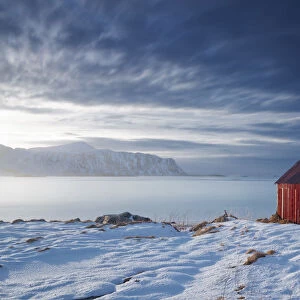 Red Shack in Winter, Lofoten Islands, Norway