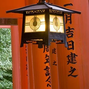 Red Torii gates, Fushimi Inari Taisha Shrine, Kyoto, Japan
