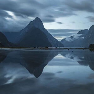 Reflection of Milford Sound at dusk in summer