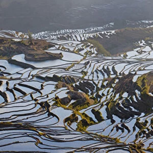 Reflections off water filled rice terraces, Yuanyang County, Honghe, Yunnan Province