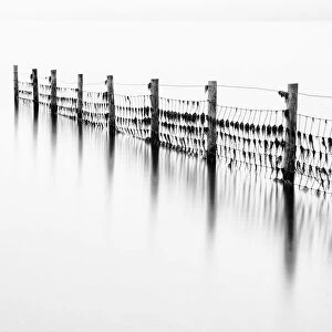 Remains of the old fence on Derwentwater, Cumbria, UK
