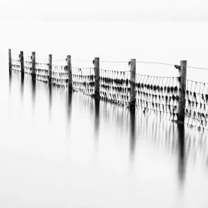 Derwentwater Fence Remains Black and White Print Derwentwater Fence Remains Black and White Print