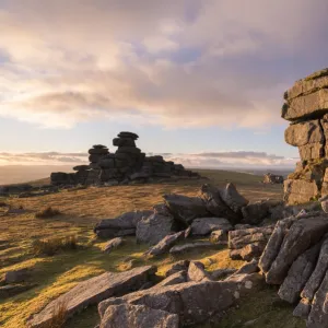 Rich evening sunlight at Great Staple Tor, Dartmoor National Park, Devon, England