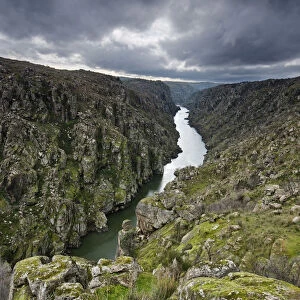 The river Douro crossing the wild and rocky gorges of the International Douro Nature Park