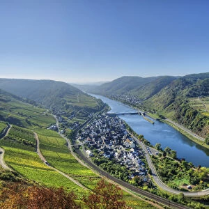 River Mosel with Neef, Rhineland-Palatinate, Germany