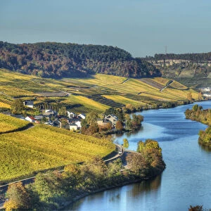 River Mosel with Nittel at fall, Rhineland-Palatinate, Germany