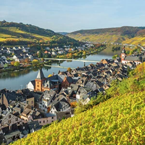 River Mosel with Zell at fall, Rhineland-Palatinate, Germany