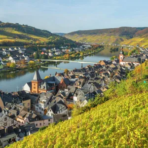 River Mosel with Zell at fall, Rhineland-Palatinate, Germany