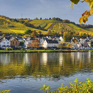River Mosel with Zell-Kaimt, Rhineland-Palatinate, Germany