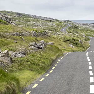 Road in Burren National Park, Munster, Co. Clare, Ireland, Europe