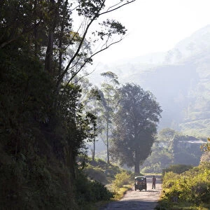 Road, Munnar, Western Ghats, Kerala, South India