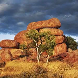 Rock formation at Devils Marbles with eucalyptus tree - Australia, Northern Territory