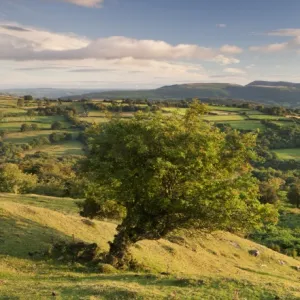 Rolling countryside of the Brecon Beacons near Crickhowell, South Wales