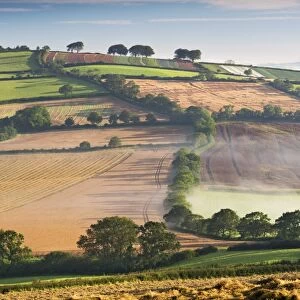 Rolling countryside on a misty morning, mid Devon, England. Autumn (September)