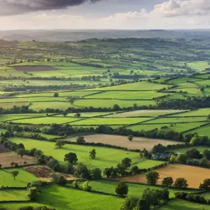 Rolling fields near Llangorse, Brecon Beacons National Park, Powys, Wales, UK. Autumn