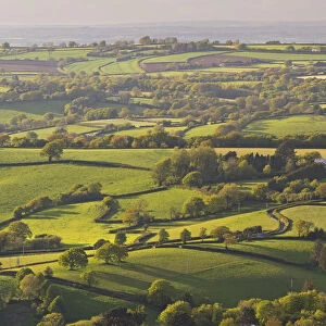 Rolling patchwork countryside, Dartmoor National Park, Devon, England. Spring (May) 2015