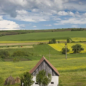 Romania, Transylvania, Tarnaveni, farm and fields, spring