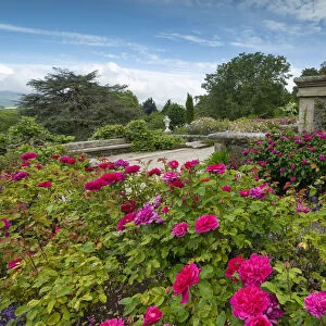 Rose Garden, Bodnant Gardens, near Tal-y-Cafn, Conwy, Wales