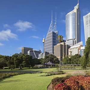 Royal Botanic Gardens and skyscrapers, Sydney, New South Wales, Australia