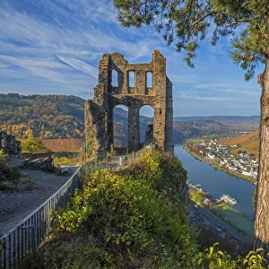 Ruin of Grevenburg with River Mosel, Traben-Trarbach, Rhineland-Palatinate, Germany