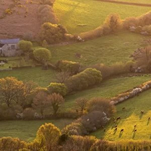 Rural cottage in idyllic countryside surroundings, Dartmoor National Park, Devon, England