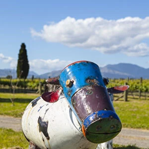 Rural letter box, Blenheim, Marlborough, South Island, New Zealand
