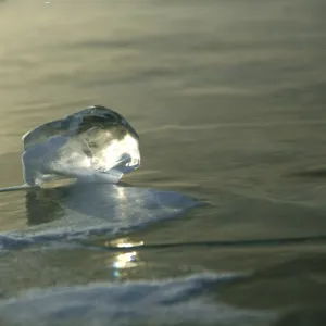 Russia, Siberia, Baikal; An ice cube formed on the surface of frozen Lake Baikal