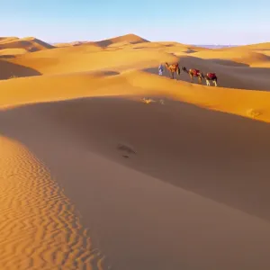Sahara Desert Print, Morocco
