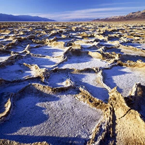 Salt Polygons, Bad Water, Death Valley National Park, California, USA