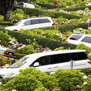 San Francisco, California, USA. view of the world famous Lombard Street with cars